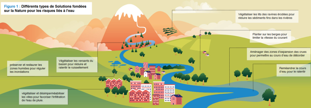 Image différents types de solutions baséées sur la nature